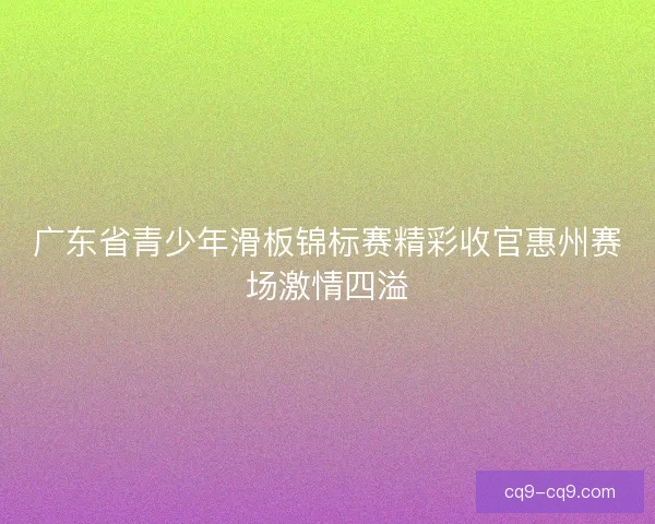广东省青少年滑板锦标赛精彩收官惠州赛场激情四溢