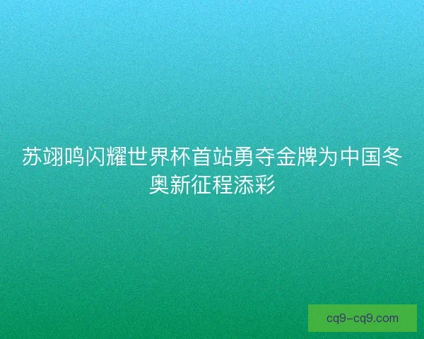苏翊鸣闪耀世界杯首站勇夺金牌为中国冬奥新征程添彩 苏翊鸣闪耀世界杯首站勇夺金牌为中国冬奥新征程添彩