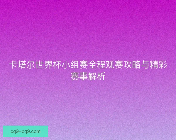 卡塔尔世界杯小组赛全程观赛攻略与精彩赛事解析